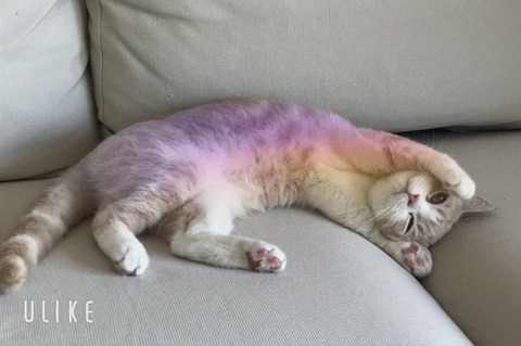 beauty_20250629173935