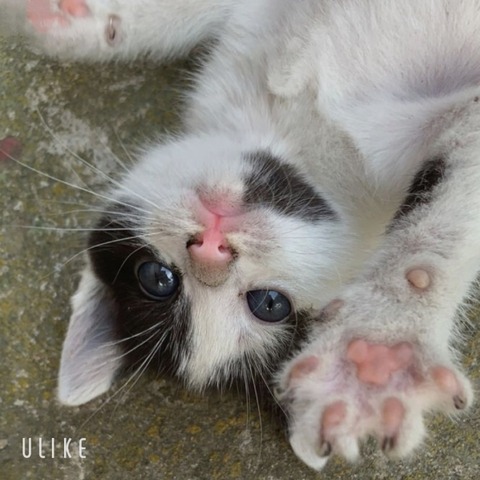 beauty_20250728170157