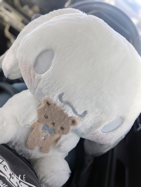 beauty_20260126143340