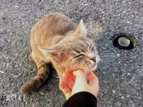 beauty_20251107161618