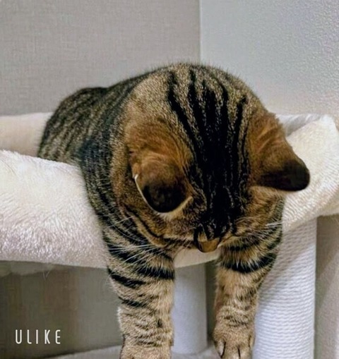 beauty_20250814174039