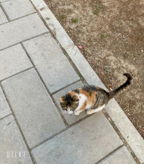 beauty_20250718174130