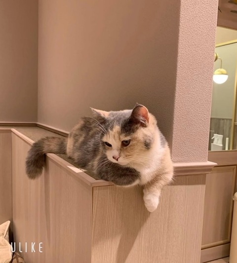 beauty_20250412160624