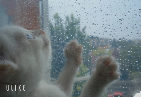 beauty_20250311173624