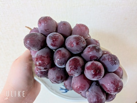 beauty_20250923103059