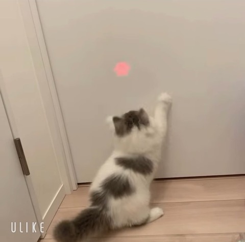 beauty_20241213161228