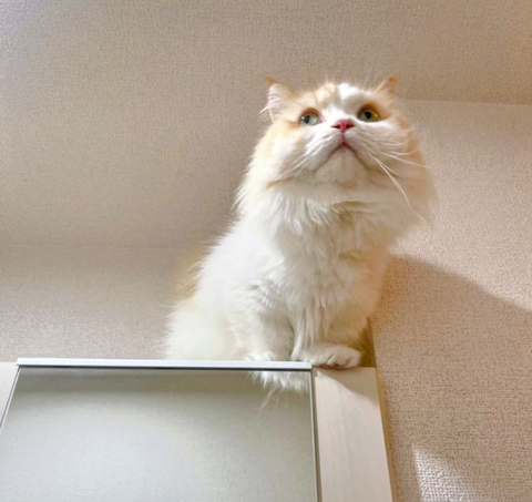 Screenshot_20240926-132816~2