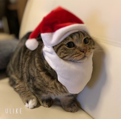 beauty_20241220162124