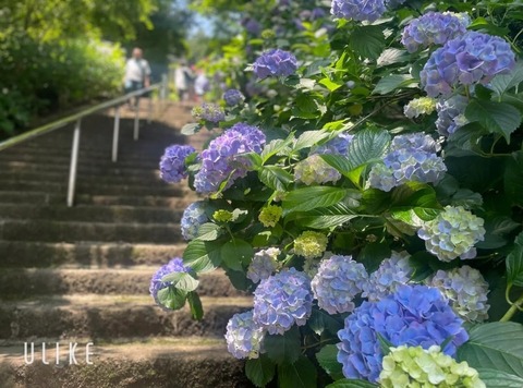 beauty_20250610154756