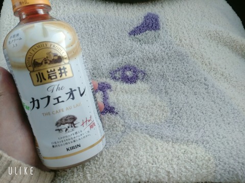 beauty_20241223161834