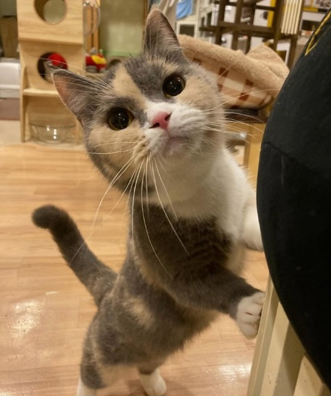 beauty_20250120173046