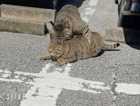 beauty_20260222141530