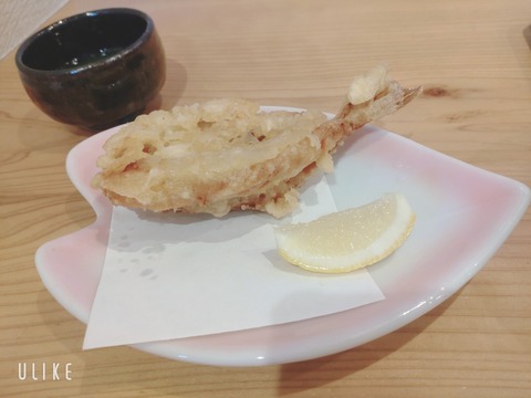 beauty_20241203111331