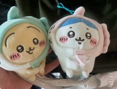 beauty_20250221224406