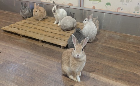 PXL_20250902_082959616