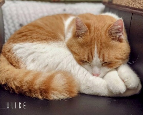 beauty_20250401160334