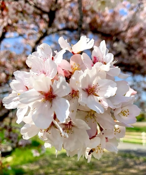 Screenshot_20260301-124456~2