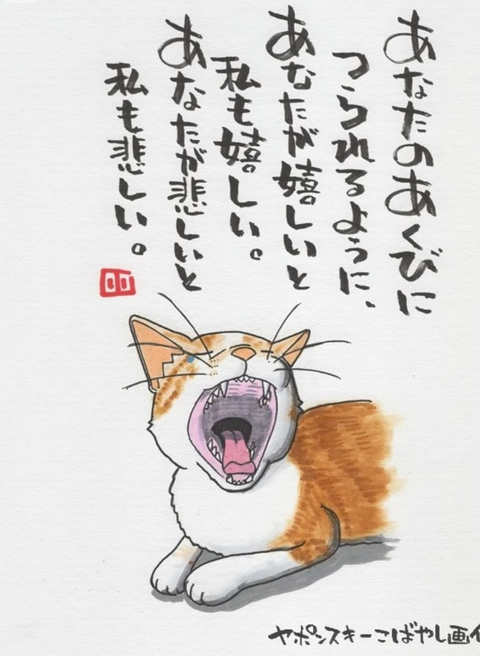 Screenshot_20260428-155037