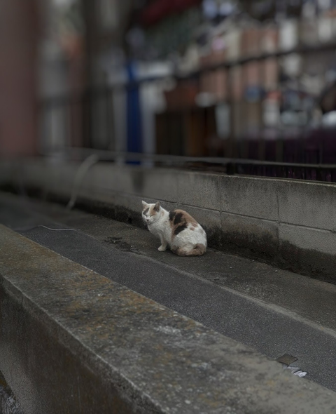 Screenshot_20260119-132517~2