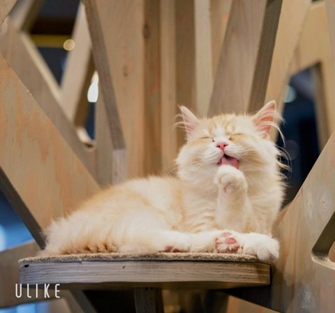 beauty_20251130151253