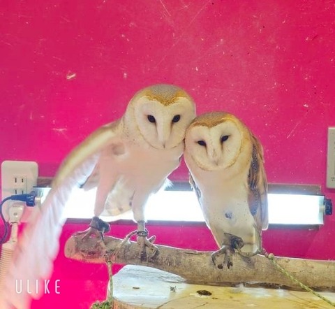 beauty_20250914141710