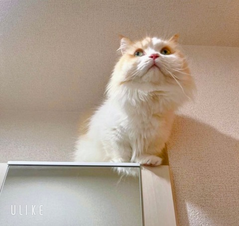 beauty_20251115155621