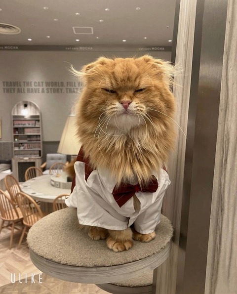 beauty_20250309181525