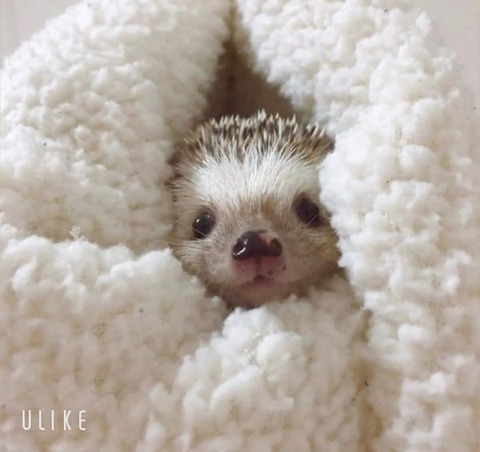 beauty_20251214153804