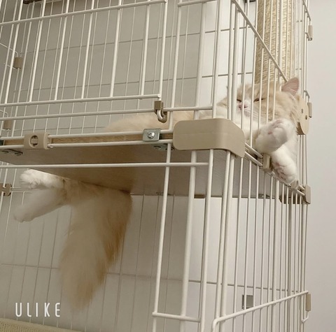 beauty_20241228150945