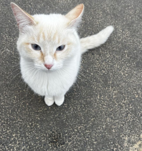 Screenshot_20260309-162607