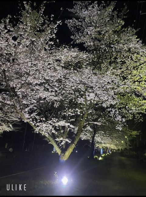 beauty_20250409163240