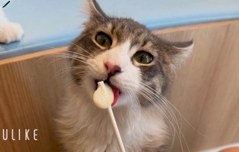 beauty_20251201150920