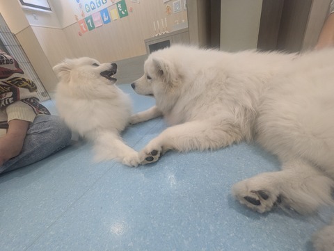 PXL_20260416_041715479