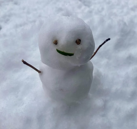 Screenshot_20260208-052839~2