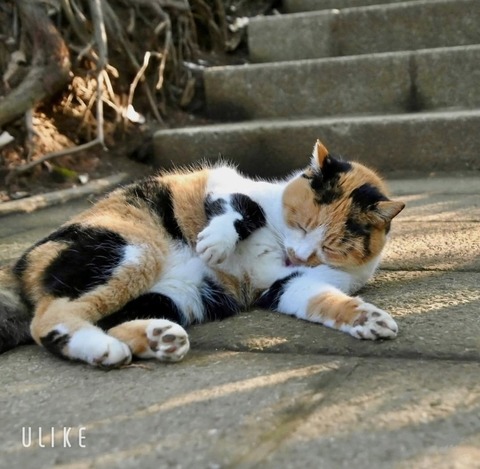 beauty_20250226151953