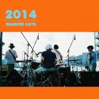 シャムキャッツ 2014ツアーパンフレット