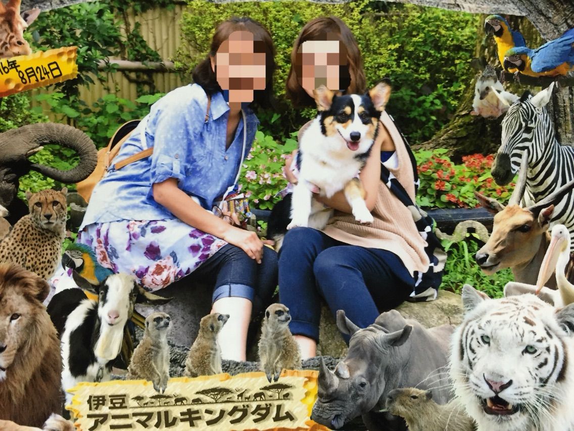 伊豆旅行 Go Go アニマルキングダム みつばちハニーのぶんぶんにっき