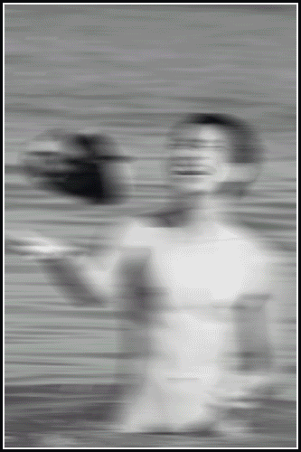 GIF画像