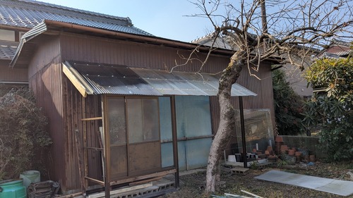 PXL_20260213_010050676