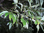 0746b8a4.jpg