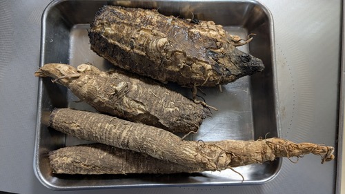 PXL_20260129_094454943