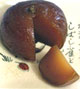 07a72cbc.jpg