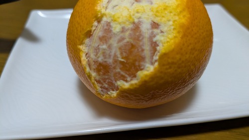 PXL_20260325_103142101