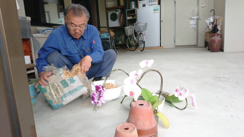 DSC_0001_BURST20200713111310915