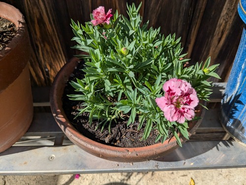 PXL_20250926_044444814