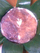 101e1678.jpg