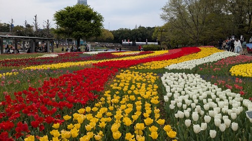 PXL_20260409_030519429