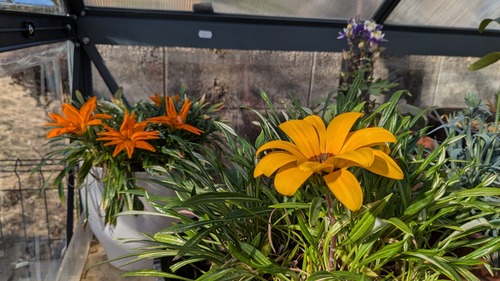 PXL_20260219_002612233