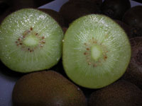 11da0953.jpg