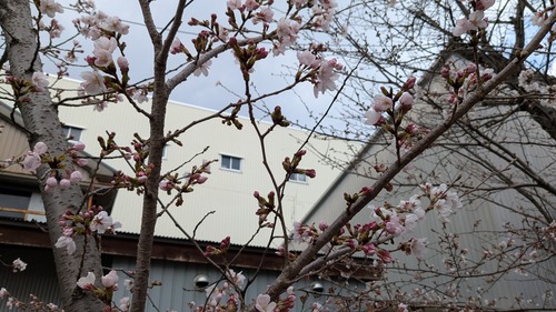 PXL_20260323_034919308